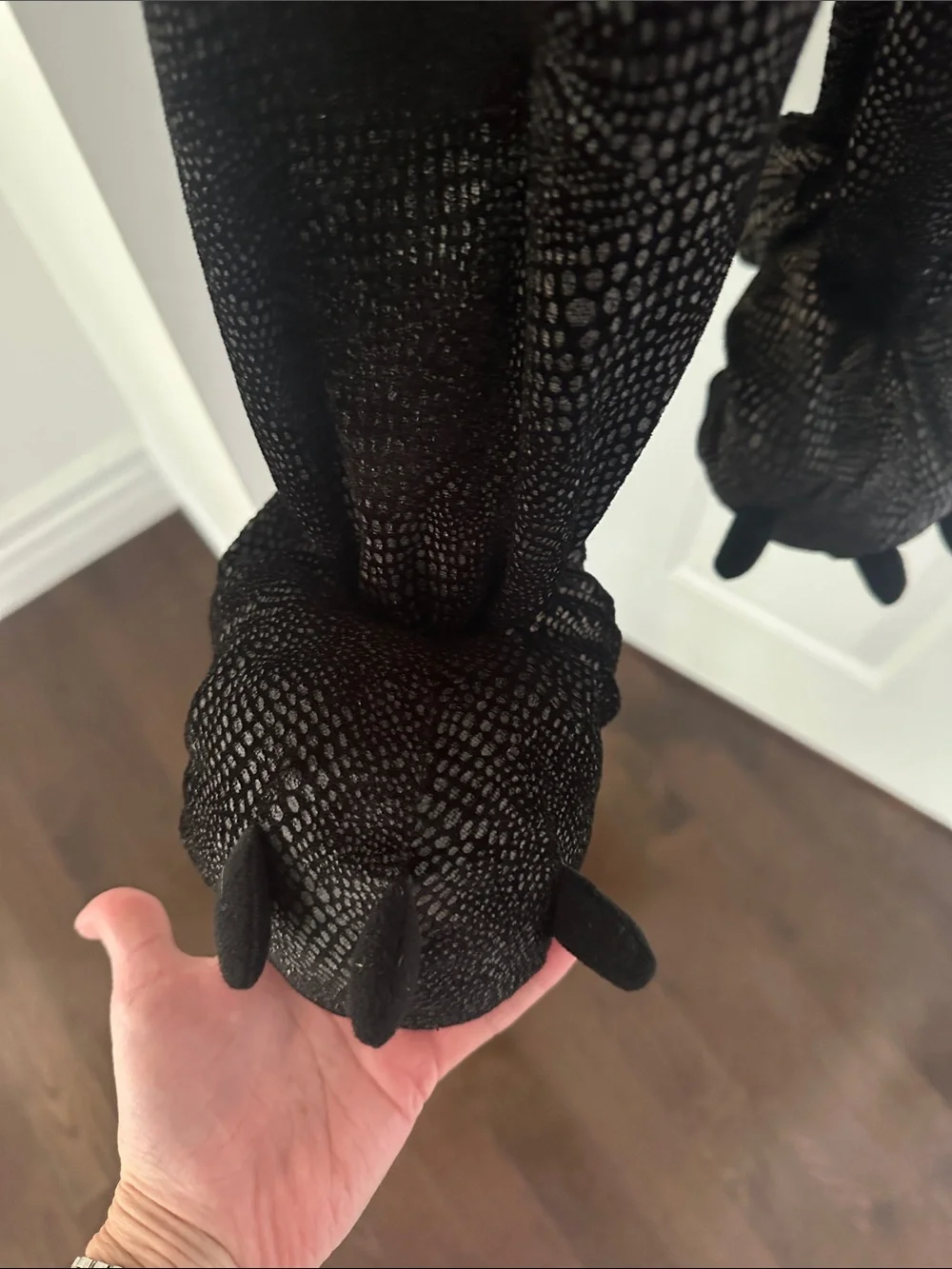 N/A playful black